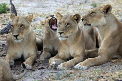 Group photo