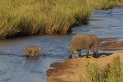 Mother and baby