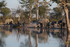 Bliss at the waterhole
