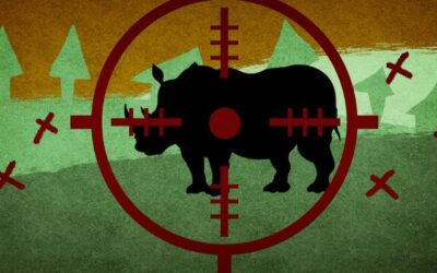 Conservation by the bullet: SA’s hunting statistics and the industrial slaughter of wildlife